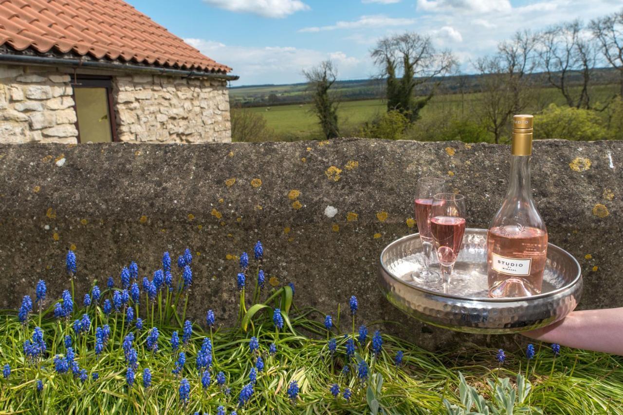 Valley View Farm Holiday Cottages Helmsley Exteriör bild