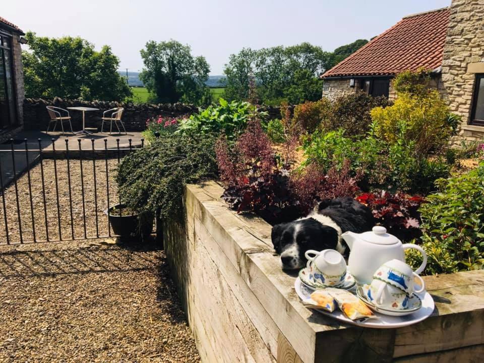 Valley View Farm Holiday Cottages Helmsley Exteriör bild